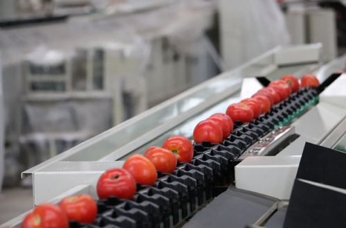 沅江興農(nóng)機(jī)械制造有限公司,沅江水果分選機(jī),沅江水果清洗機(jī),沅江水果打蠟機(jī)哪里好,沅江興農(nóng)機(jī) 沅江興農(nóng)機(jī)械制造有限公司,沅江水果分選機(jī),沅江水果清洗機(jī),沅江水果打蠟機(jī)哪里好,沅江興農(nóng)機(jī)