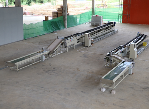 沅江興農(nóng)機(jī)械制造有限公司,沅江水果分選機(jī),沅江水果清洗機(jī),沅江水果打蠟機(jī)哪里好,沅江興農(nóng)機(jī) 沅江興農(nóng)機(jī)械制造有限公司,沅江水果分選機(jī),沅江水果清洗機(jī),沅江水果打蠟機(jī)哪里好,沅江興農(nóng)機(jī)