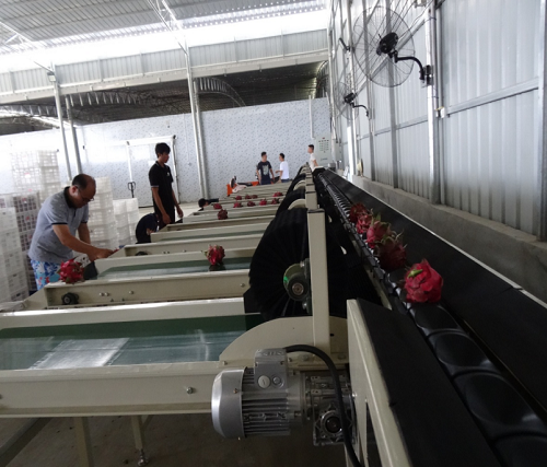 沅江興農機械制造有限公司,沅江水果分選機,沅江水果清洗機,沅江水果打蠟機哪里好,沅江興農機 沅江興農機械制造有限公司,沅江水果分選機,沅江水果清洗機,沅江水果打蠟機哪里好,沅江興農機