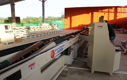 沅江興農機械制造有限公司,沅江水果分選機,沅江水果清洗機,沅江水果打蠟機哪里好,沅江興農機 沅江興農機械制造有限公司,沅江水果分選機,沅江水果清洗機,沅江水果打蠟機哪里好,沅江興農機