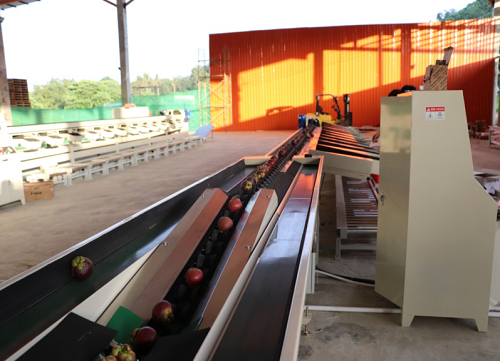 沅江興農機械制造有限公司,沅江水果分選機,沅江水果清洗機,沅江水果打蠟機哪里好,沅江興農機 沅江興農機械制造有限公司,沅江水果分選機,沅江水果清洗機,沅江水果打蠟機哪里好,沅江興農機