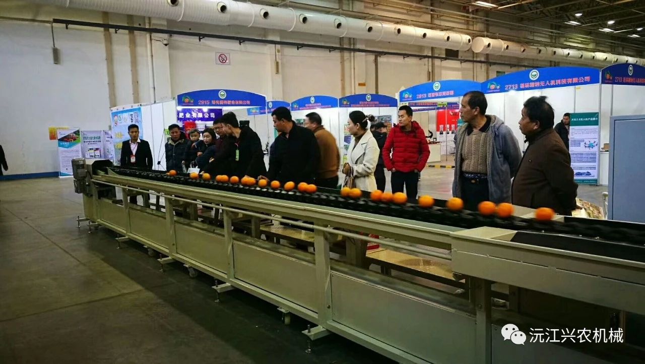 沅江興農(nóng)機(jī)械制造有限公司,沅江水果分選機(jī),沅江水果清洗機(jī),沅江水果打蠟機(jī)哪里好,沅江興農(nóng)機(jī) 沅江興農(nóng)機(jī)械制造有限公司,沅江水果分選機(jī),沅江水果清洗機(jī),沅江水果打蠟機(jī)哪里好,沅江興農(nóng)機(jī)